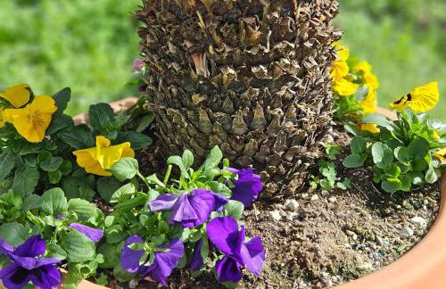 IPSOS SUPERIOR APARTMENTS - Foto 24