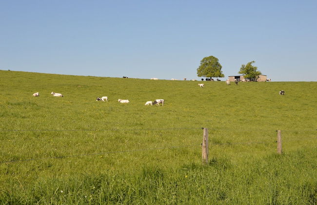 House in Ardennes With River and Forest Views - Foto 46