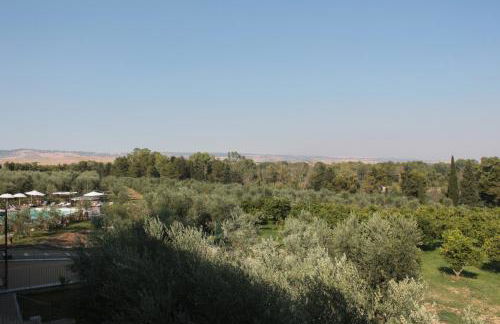 Agriturismo L'Assiolo - Foto 20