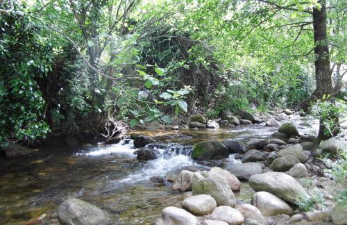 Apartamento Alhondiga Hervás - Foto 40