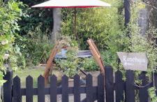 Rosehips at Kerensa, Naburn - Foto 12