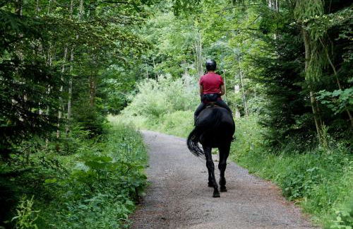 Doce de Colón Requena - Foto 51
