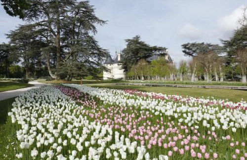 Grand loft d'artiste au coeur de Vendôme - Foto 48