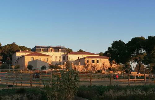 Domaine de la Vidalle - Foto 15