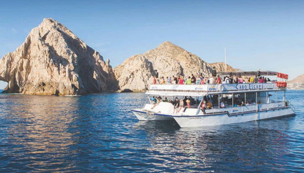 Balade sur les eaux du golfe de Californie