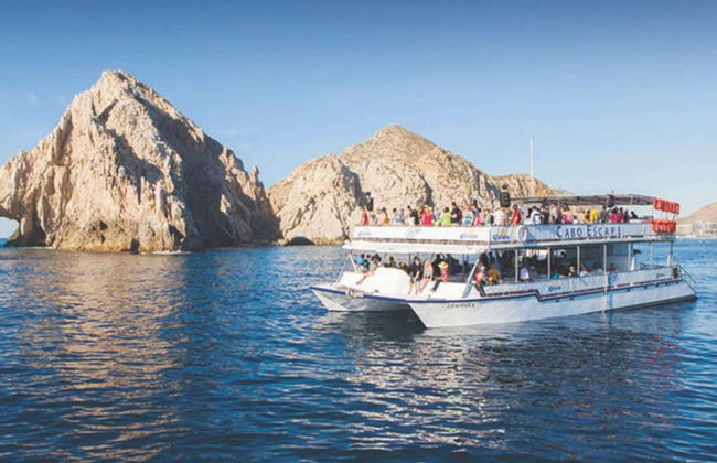 Balade en catamaran dans le golfe de Californie - Photo 4