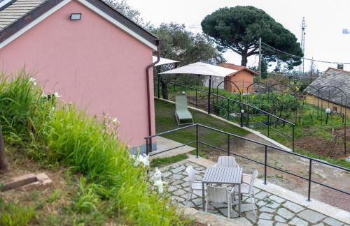 La casa tra gli ulivi - Foto 33