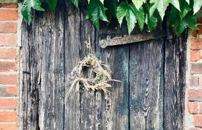 Landlebenliebe - Foto 43