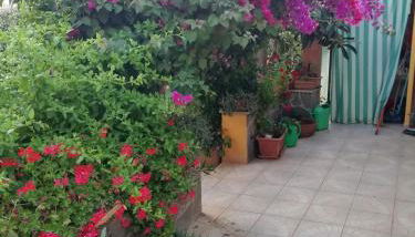 Casa Vacanze La Margherita - Photo 3