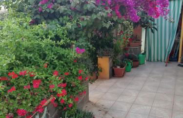 Casa Vacanze La Margherita - Photo 3