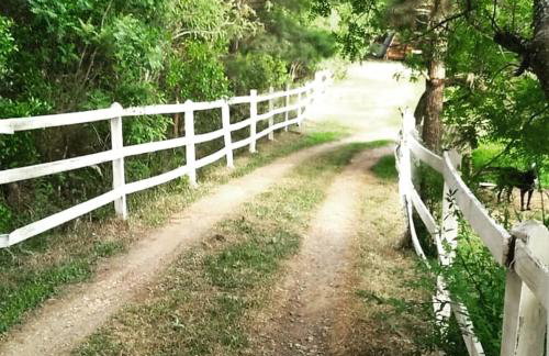 CHALÉ ESTÂNCIA OURO VERDE - Photo 51