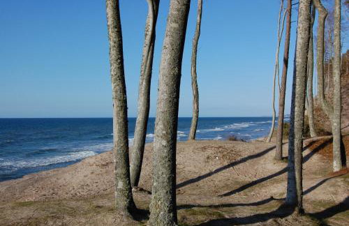 Apartament Ustecka Ostoja Na Wydmie - Foto 24