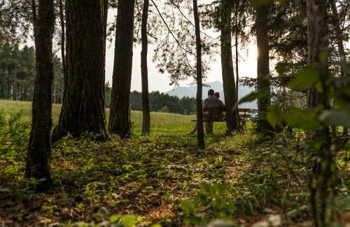 Baumgartnerhof - Foto 25