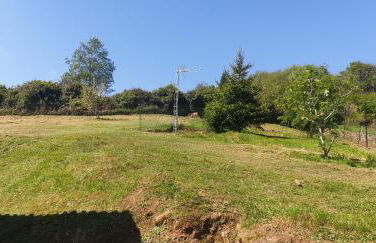 La Casita de Tití - Photo 16