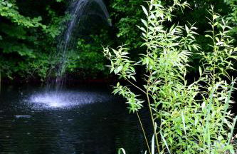 Cozy Cabin on Hiking Trailhead & Elk Preserve - Foto 41