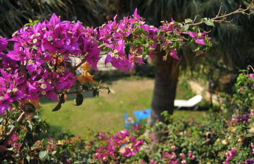 Nikoleta's Studios - Photo 10