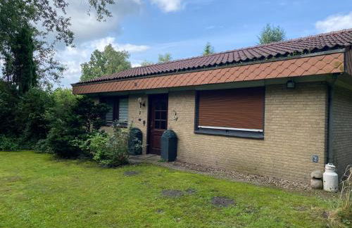 Fintelchen - Foto 19