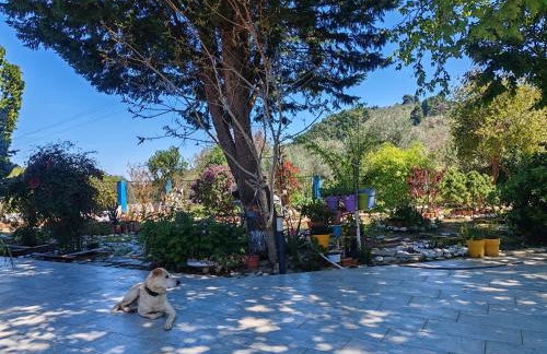 Εξοχική κατοικία - cottage Τίνα - Foto 30