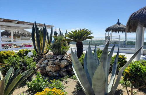 Surf House d'Elite - Foto 13