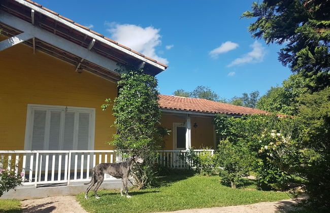 Rústico nas Alturas - Amparo - Photo 20