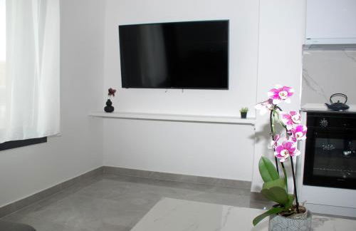 Eleva Deluxe - Foto 51