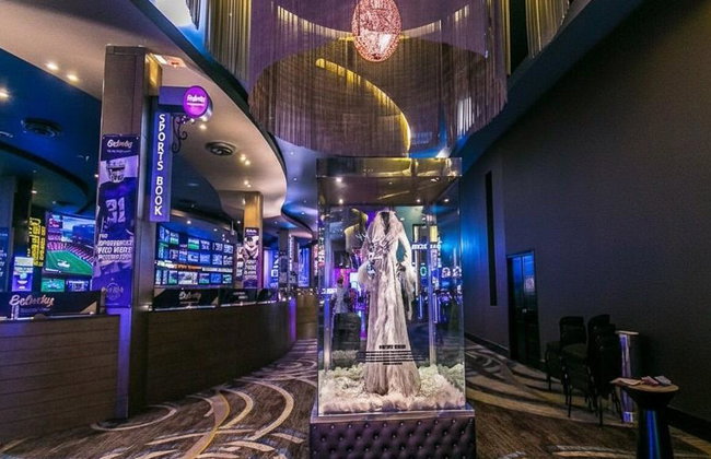 Rumba Punta Cana Night Tour - Foto 7