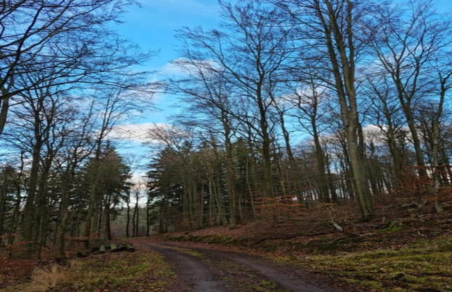 Stylish Apartment With Terrace in Sonneberg - Foto 27