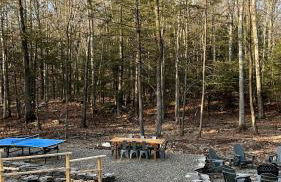 Luxury Woodstock Retreat Hot tub heated pool - Foto 11