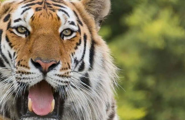 Serene Riverside 6BR Luxury Retreat in Curdridge - Photo 52