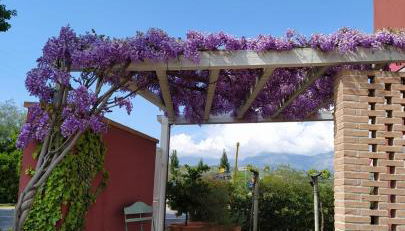 B&B Le Stagioni - Foto 5