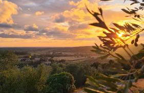 Agriturismo Le Serre - Foto 1