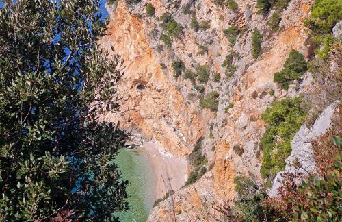 House Konavle - Foto 56