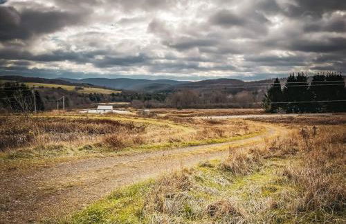 Hamden Hill House - Foto 41