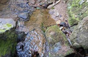 Chácara Recanto da Paz - Foto 36