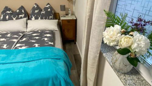 Moderne Wohnung umgeben von Weinbergen - Foto 4