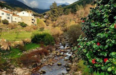 Casa da Laura - Um refúgio na Serra da Estrela - Foto 42