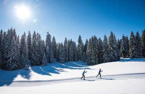 Appartement familial au Revard Vue imprenable et accès direct aux pistes - Foto 21