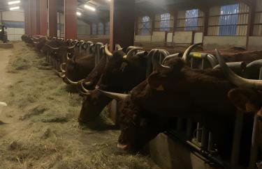 Gîte À La Ferme Au Puy Mary - Foto 29