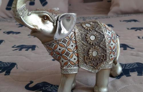 Vitez's House Novigrad/Knight's House Novigrad - Foto 71