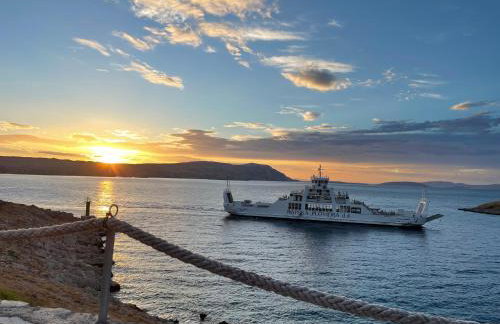 2Bfree Apartments - Photo 62