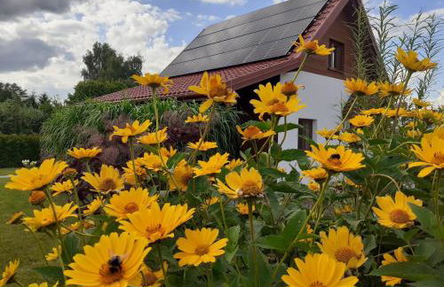Przystanek Tykocin - domki gościnne w sercu Podlasia - Foto 46