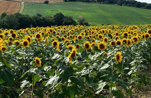 Chapelle Blóm - Photo 27