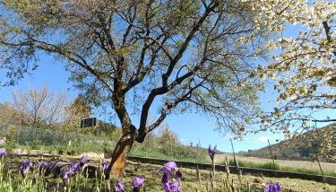 Agriturismo Terramia - Foto 3