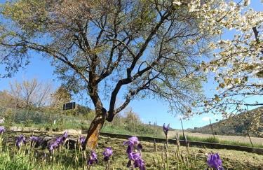 Agriturismo Terramia - Foto 3