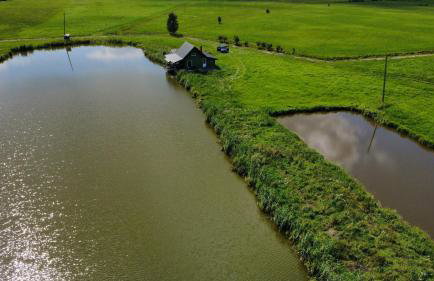 Agroturystyka Grodzisko - Foto 8