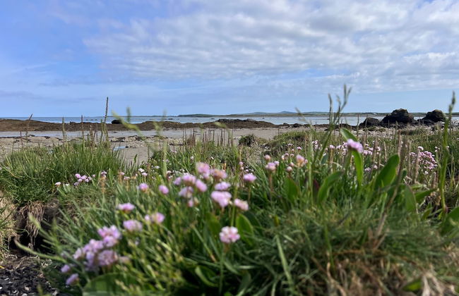 3 Bed House - Sleeps 5 - Pets - Garden - Parking - Photo 21