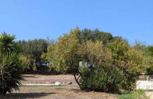 Casa Pietro - Foto 24