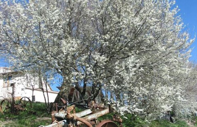 Agriturismo Ca' de' Gatti - Foto 70