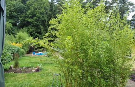 Ferienwohnung Schorfheide Krüger - Foto 23