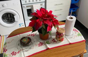 SLICE OF PONTA DO SOL- GROUND FLOOR- SEA VIEW - Foto 15